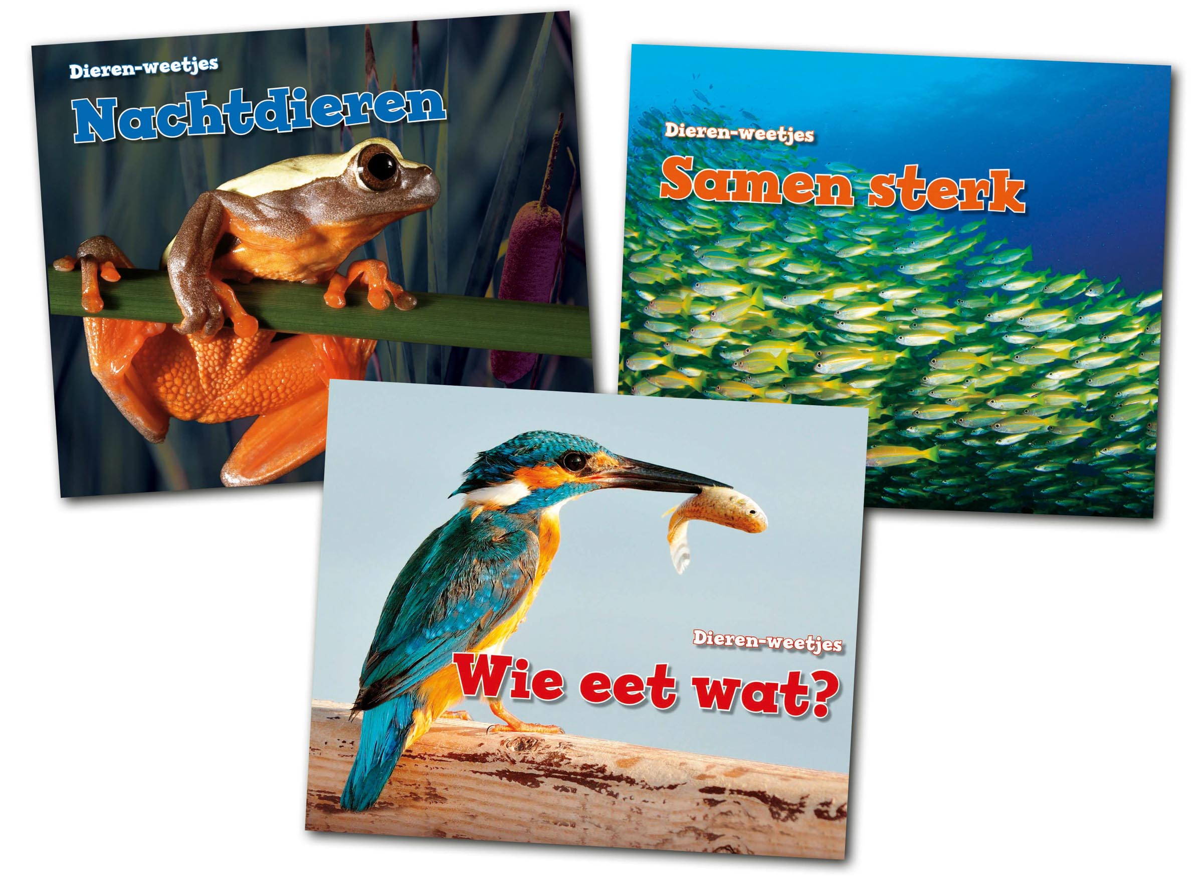 CNSVEM0C1 Dieren-weetjes I