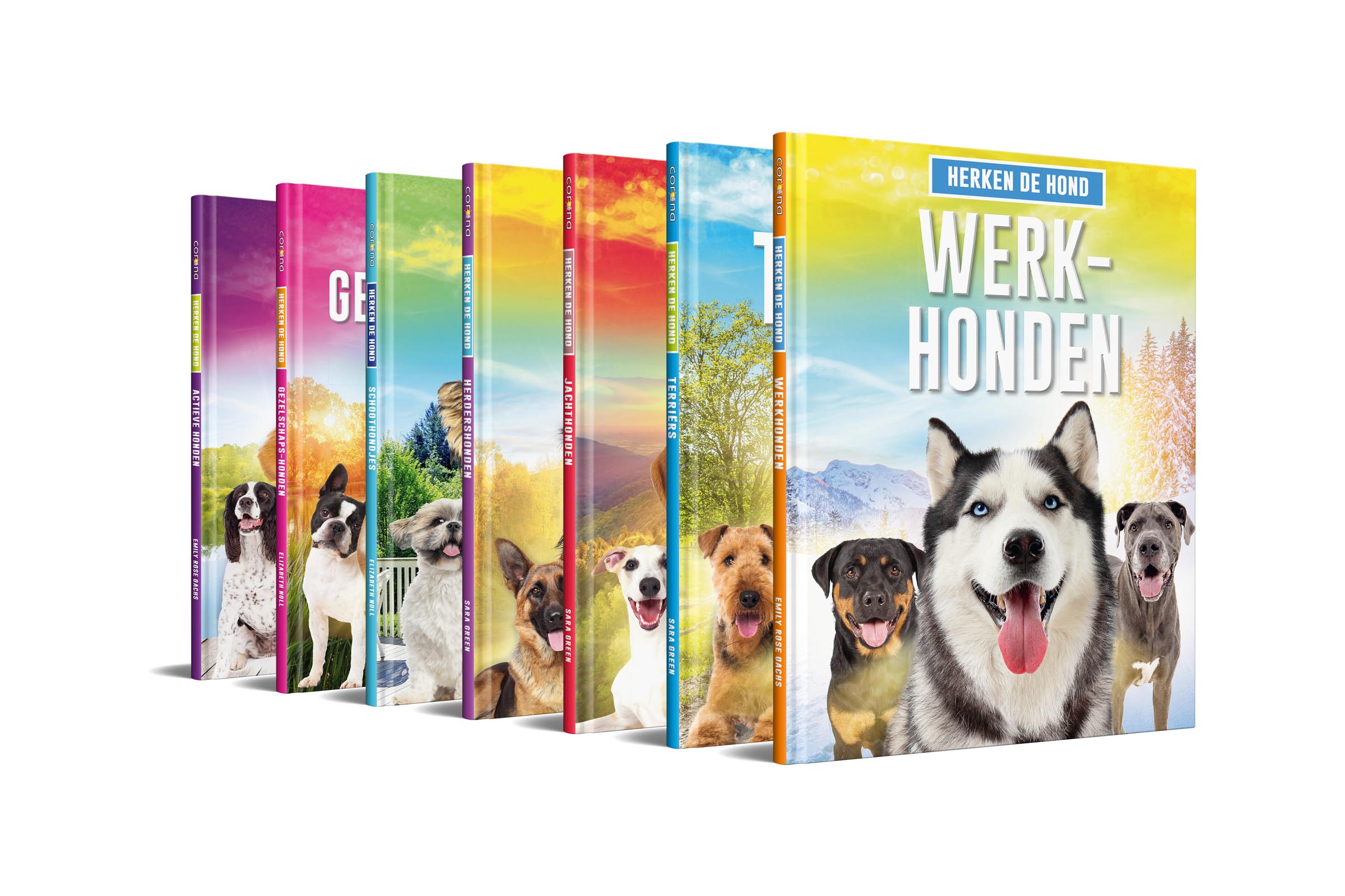 Herken de hond!