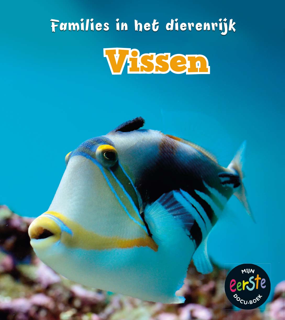 CNBMED082 Vissen