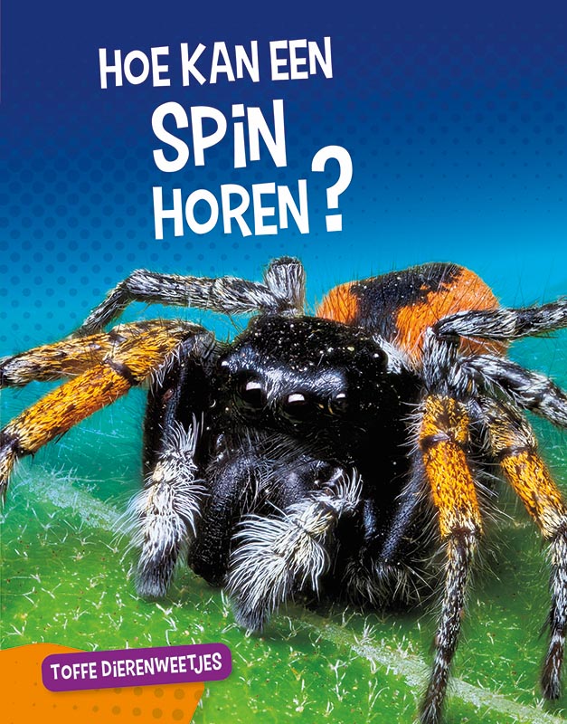 CNBTDW002 Hoe kan een spin horen?