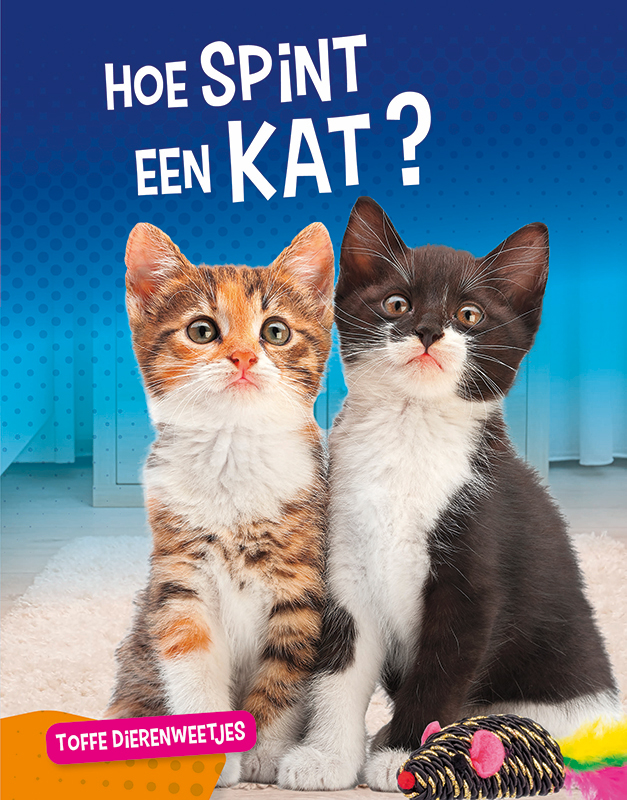 CNBTDW004 Hoe spint een kat?