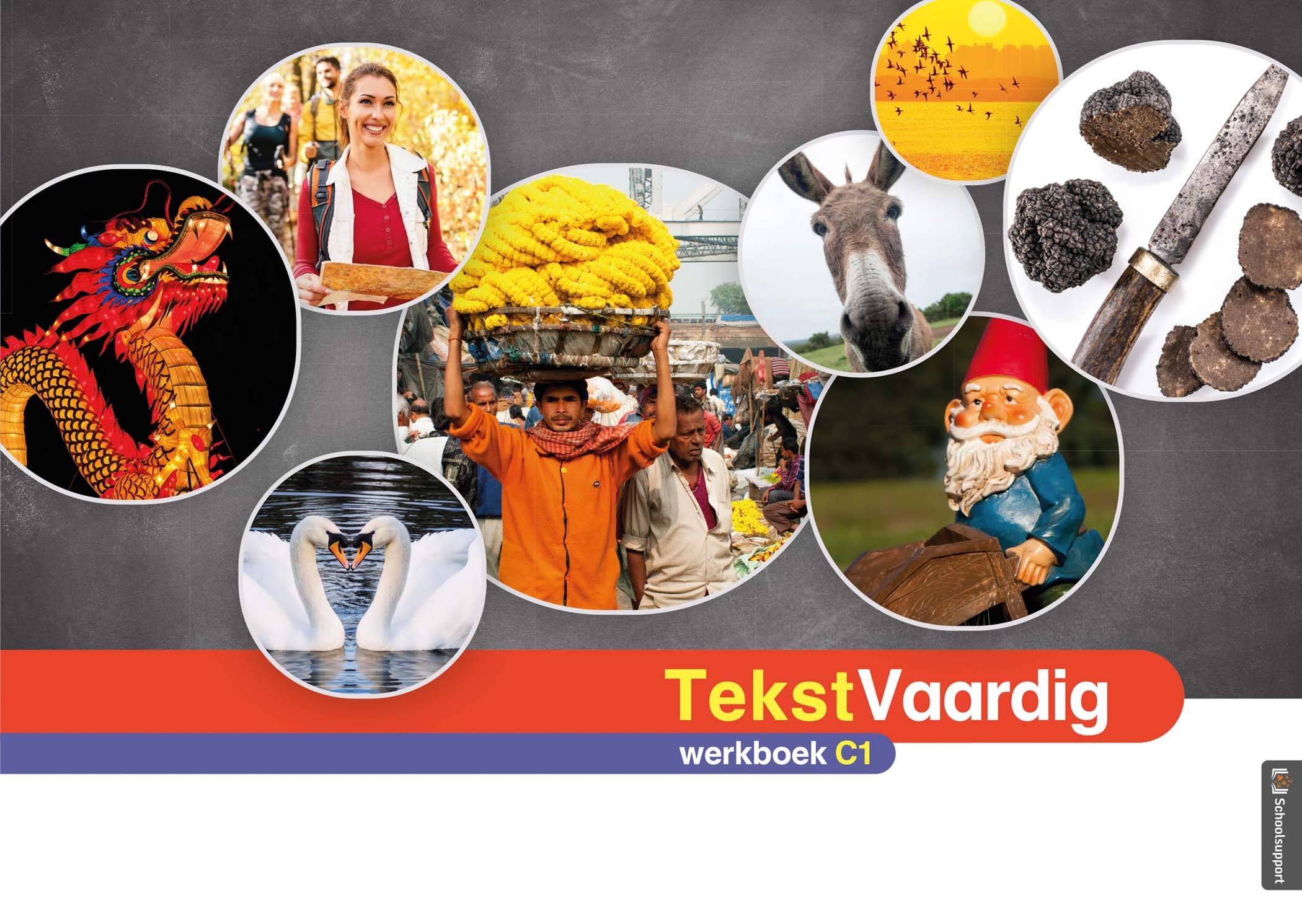 SNKTVA321 TekstVaardig C1