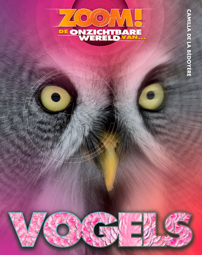 CNBZOO001 Vogels - ZOOM!