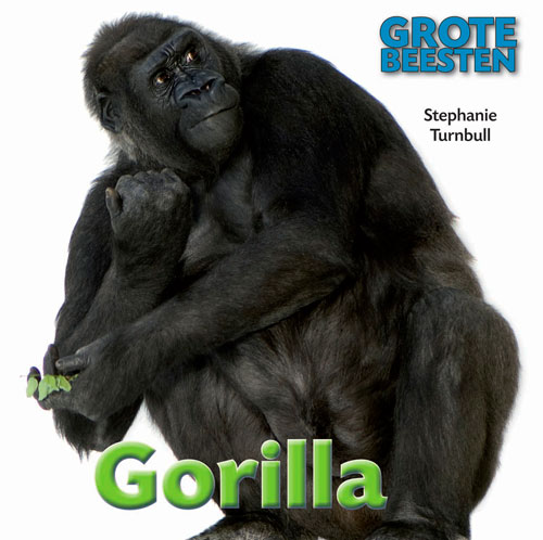 CNBGBE002 Gorilla