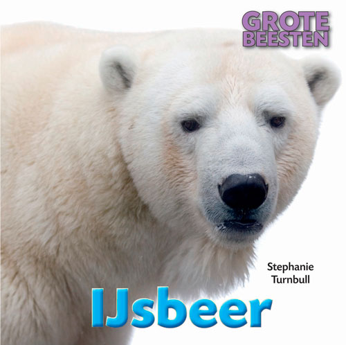 CNBGBE005 IJsbeer