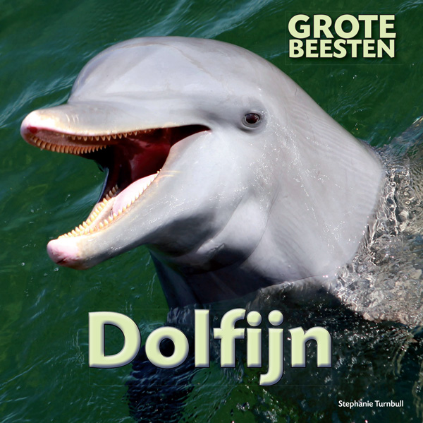 CNBGBE007 Dolfijn