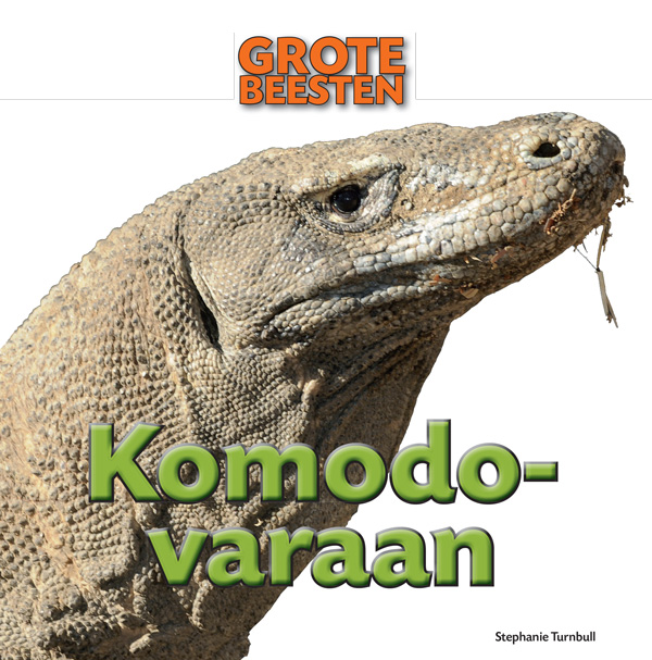 CNBGBE010 Komodovaraan