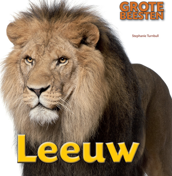 CNBGBE011 Leeuw