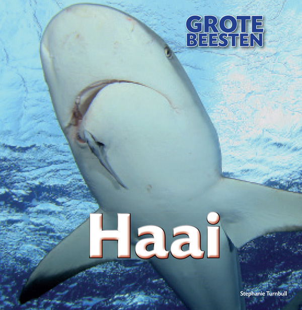 CNBGBE013 Haai