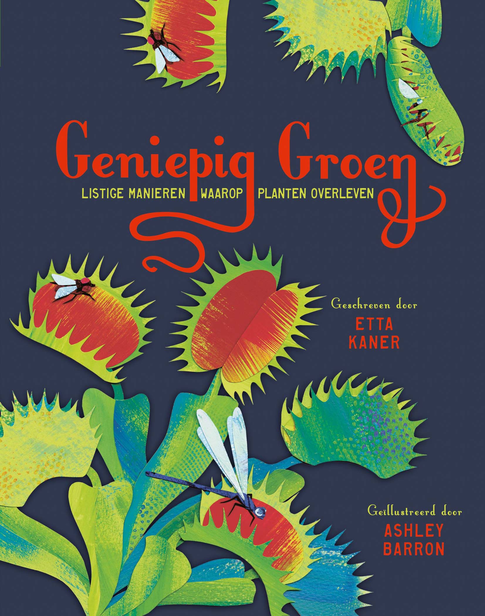 Geniepig groen
