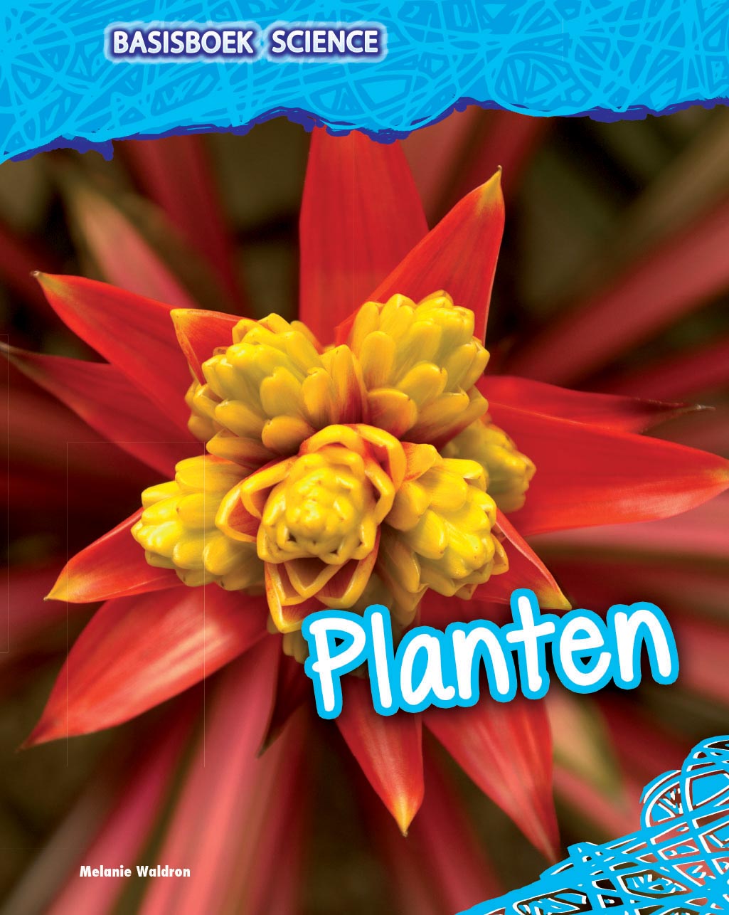CNBBSB006 Planten