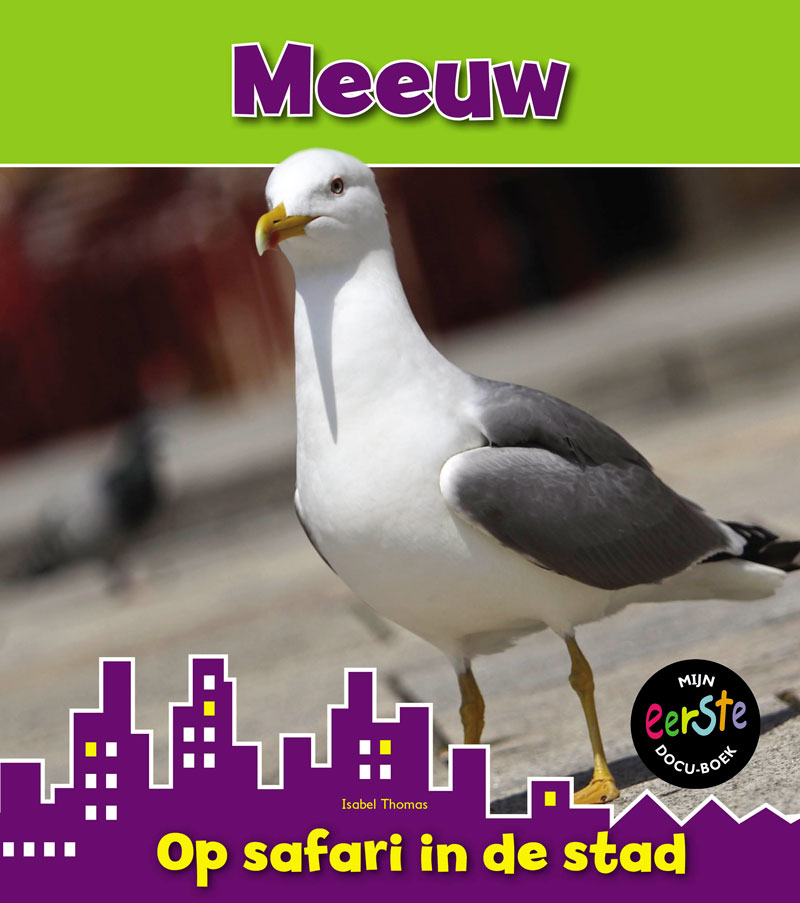 CNBMED204 Meeuw