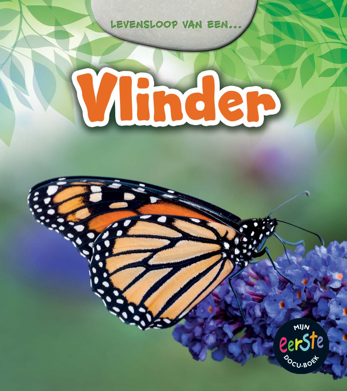 CNBMED154 Vlinder