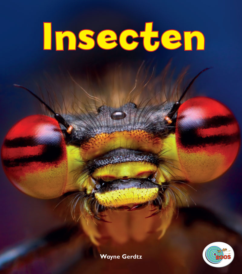 CNBIDR002 Insecten