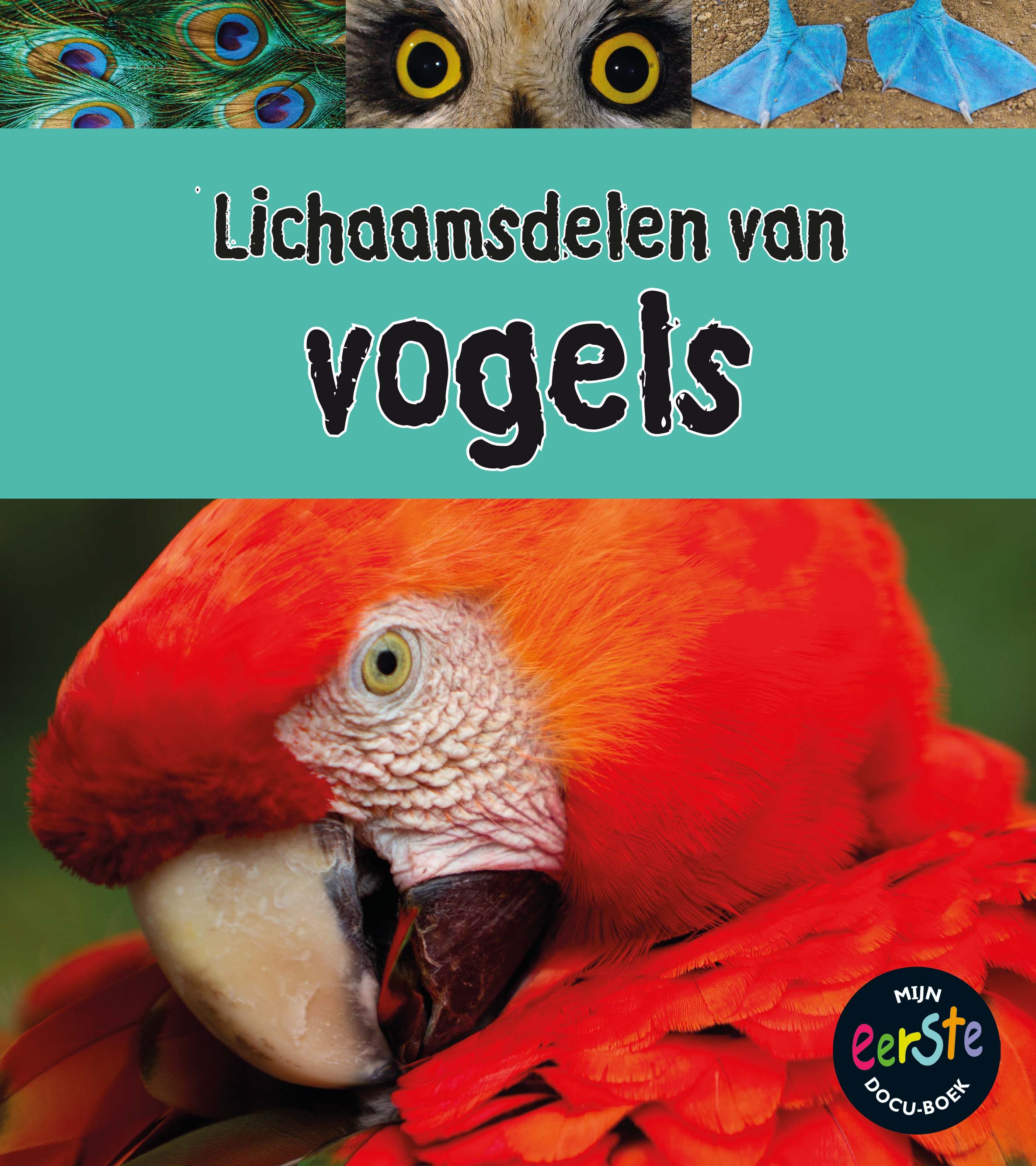 CNBMED189 Lichaamsdelen van Vogels