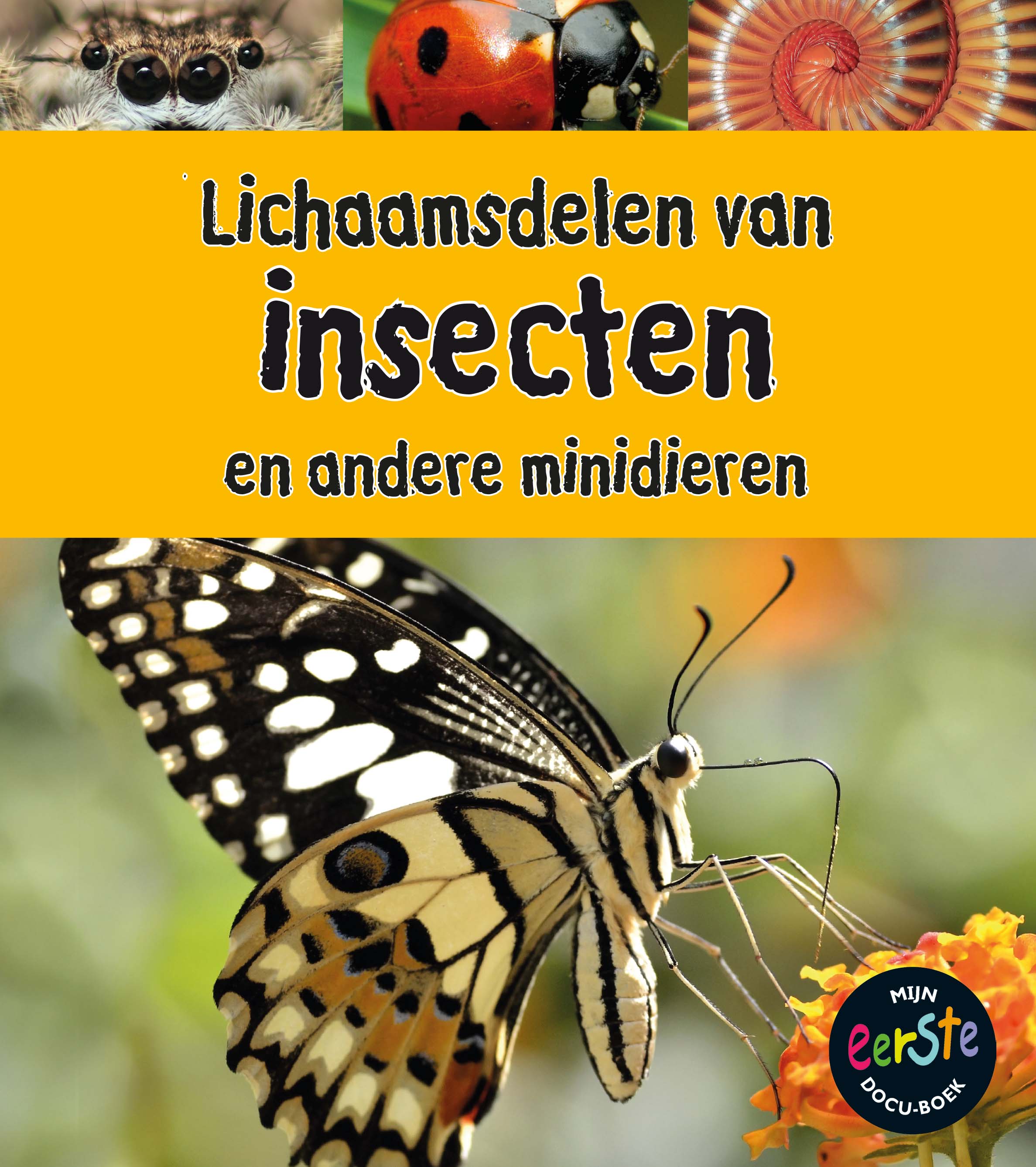 CNBMED191 Lichaamsdelen van Insecten en andere Minidieren
