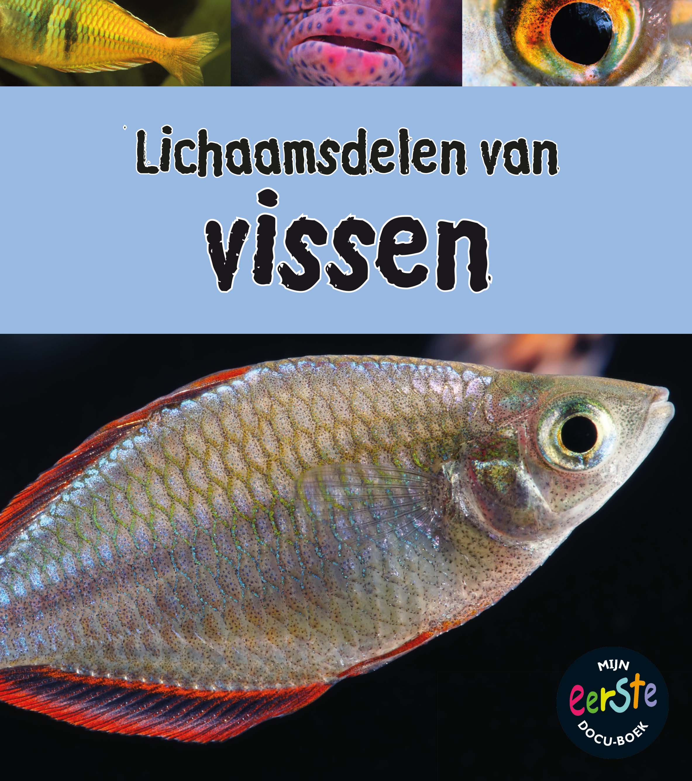 CNBMED192 Lichaamsdelen van Vissen
