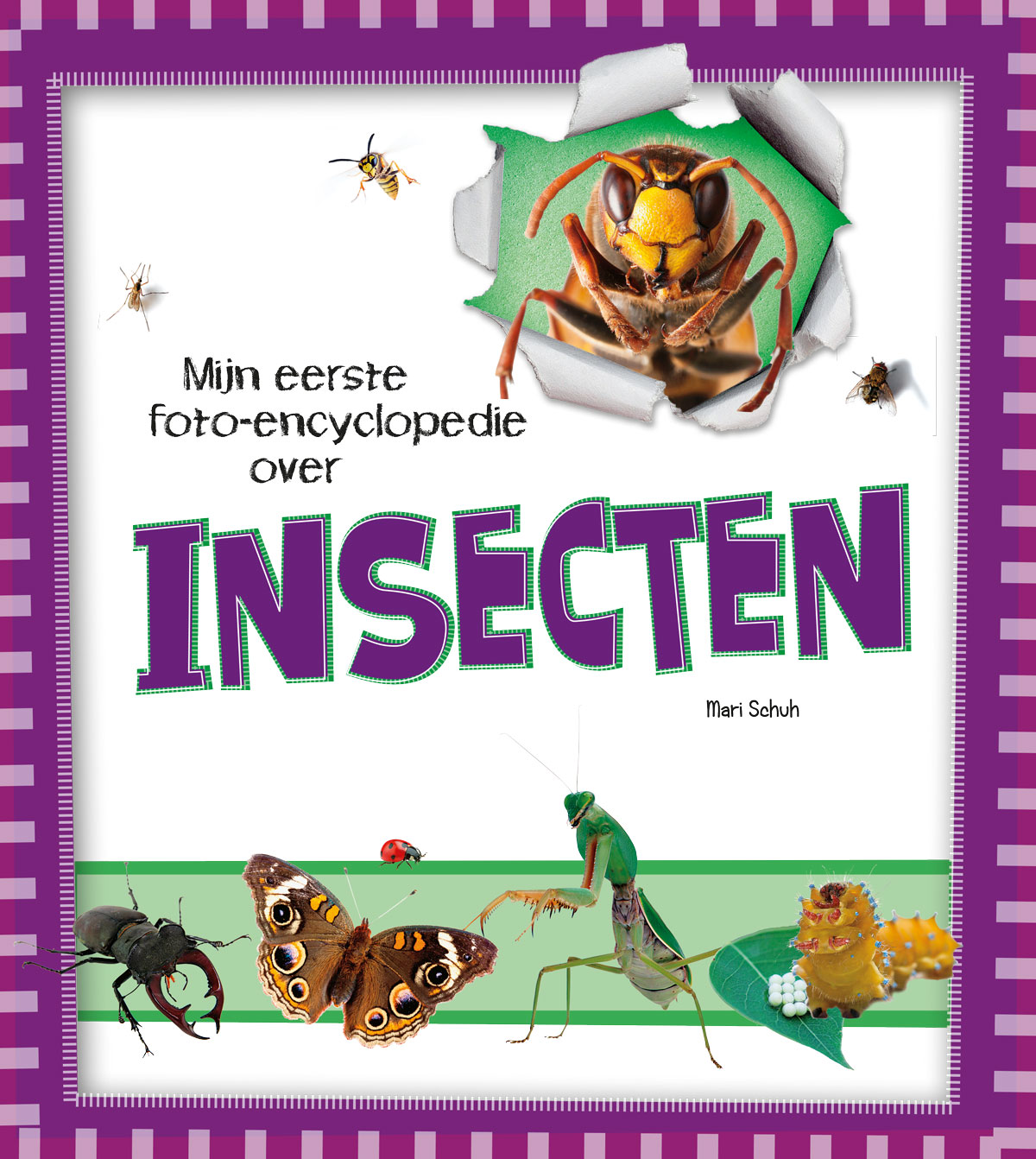 CNBMFO009 Insecten