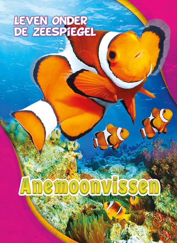 CNBLOZ101 Anemoonvissen