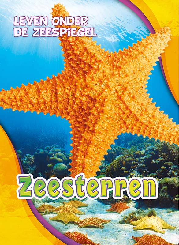 CNBLOZ104 Zeesterren