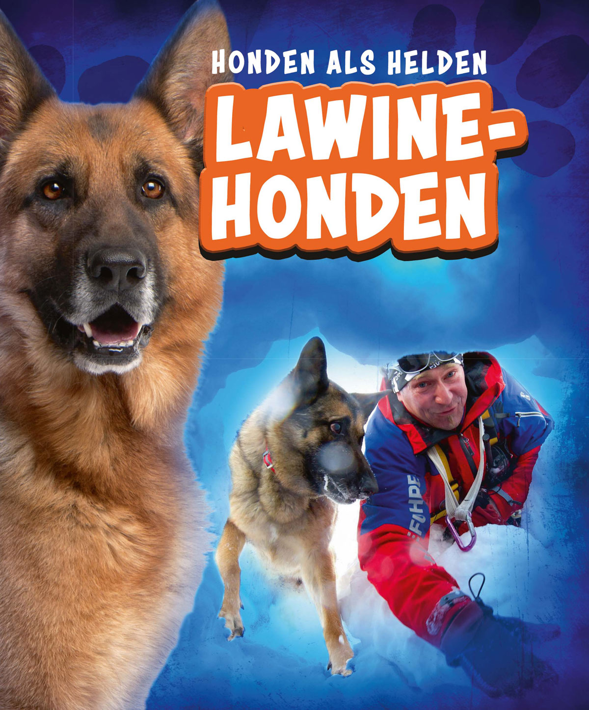 CNBHOH003 Lawinehonden