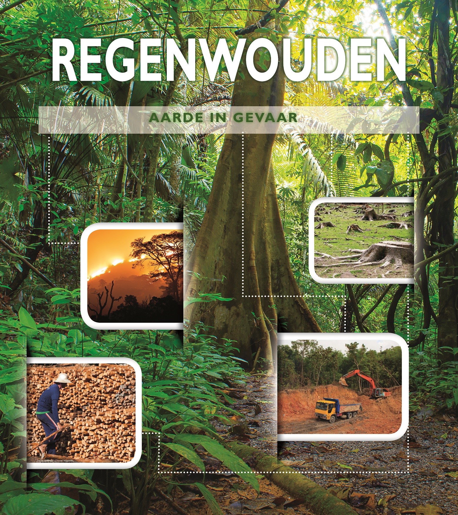 CNBAGV002 Regenwouden