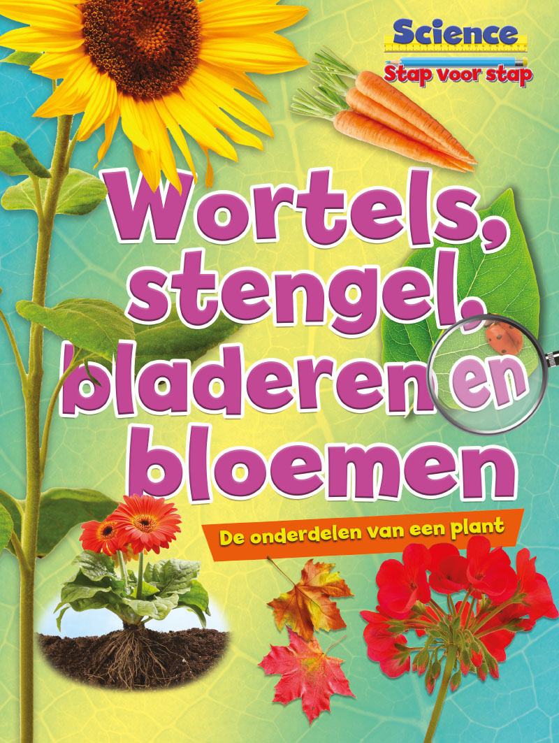 CNBSVS006 Wortels, stengels, bladeren en