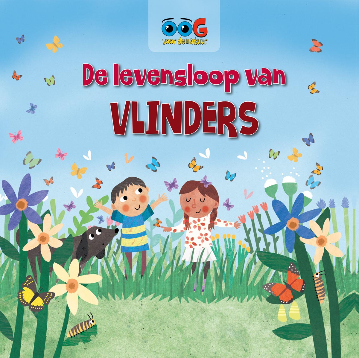 CNBOVN002 Levensloop van vlinders