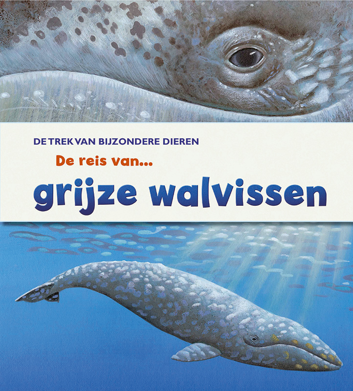 CNBTRE002 De reis van grijze walvissen
