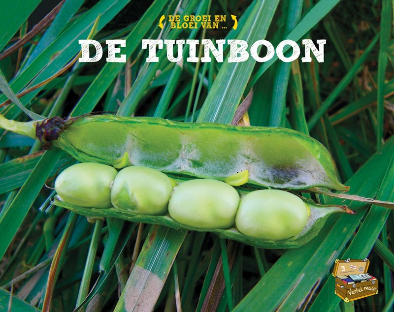 CNBVEM056 De tuinboon