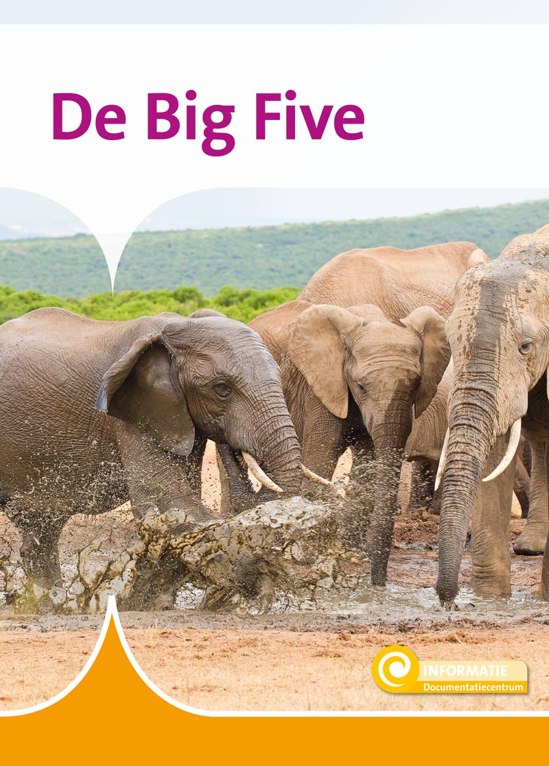 DNBINF124 De Big Five