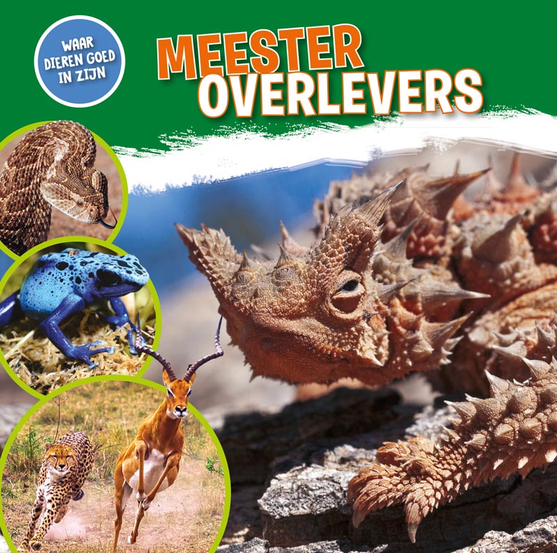 CNBDGZ001 Meesteroverlevers