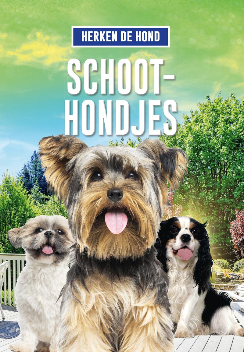CNBHON001 Schoothondjes