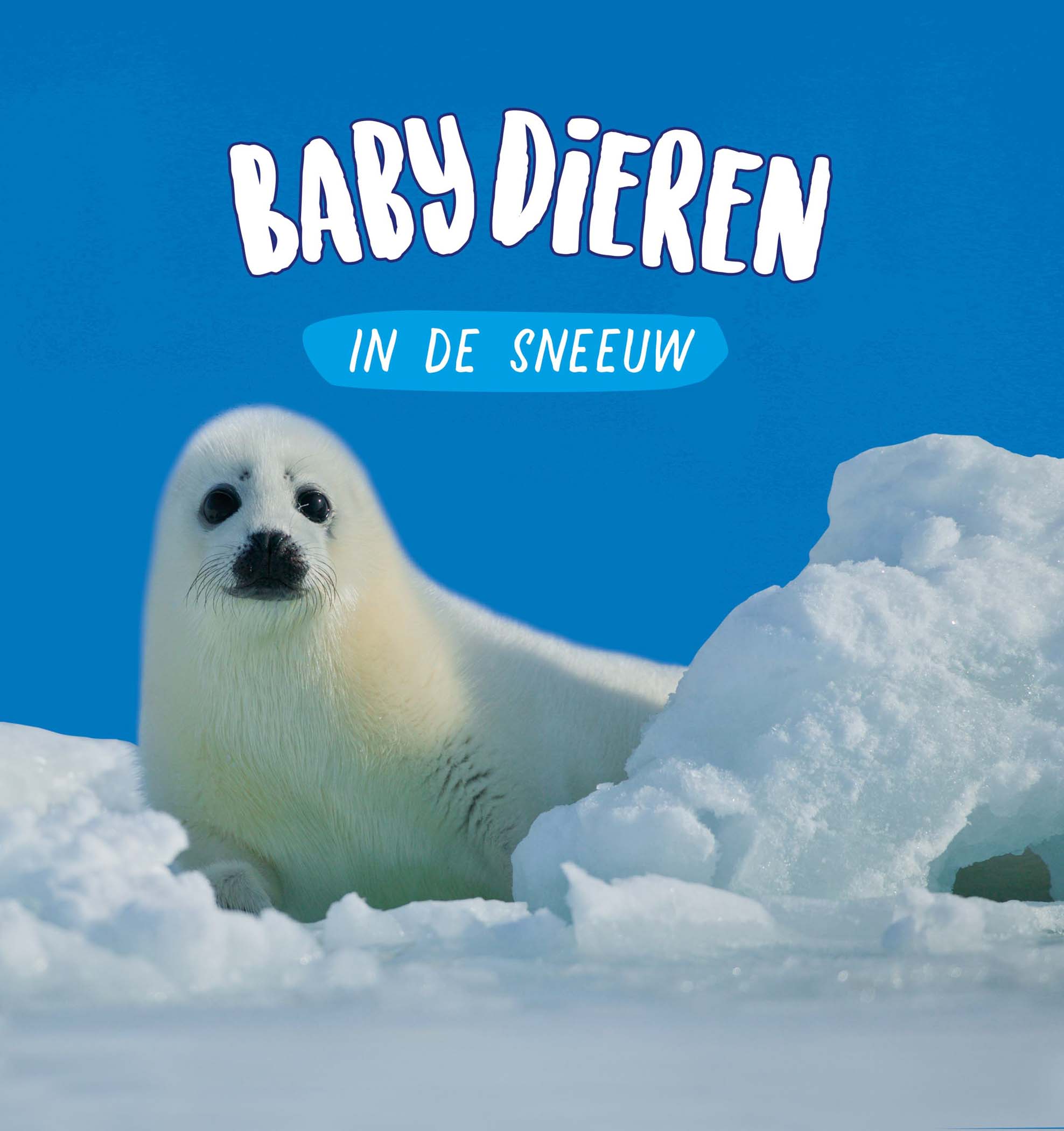 CNBBYD004 Babydieren in de sneeuw